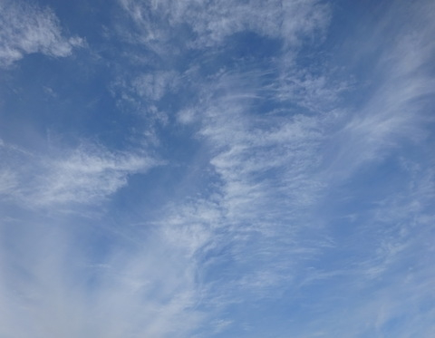 1dsc05776