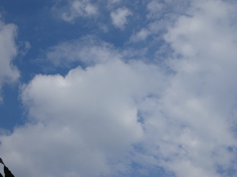1dsc05779