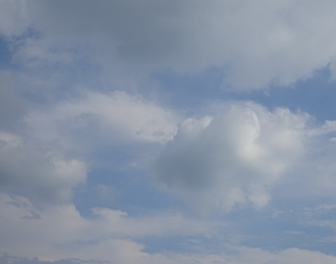 1dsc05780