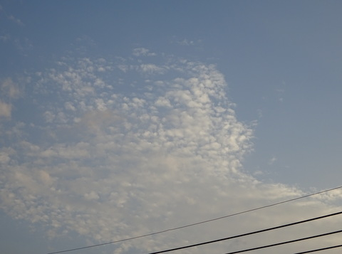 1dsc05794