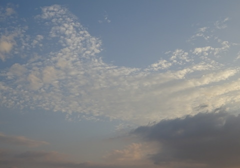 1dsc05796