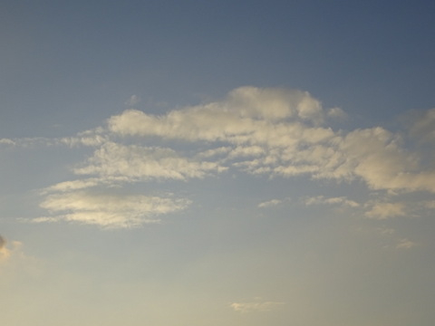 1dsc05797