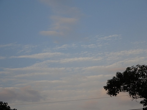 1dsc05800