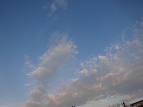 1dsc05801