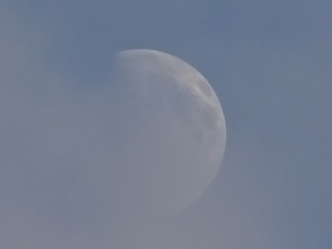 1dsc05803