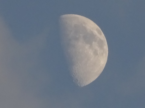 1dsc05804