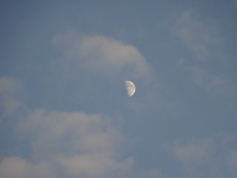1dsc05805