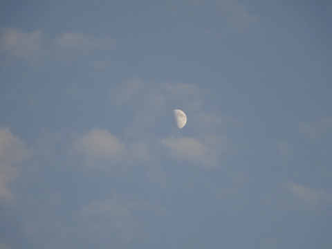 1dsc05806