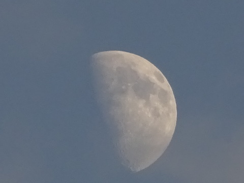 1dsc05807