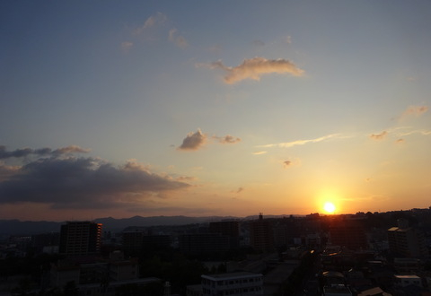 1dsc05811