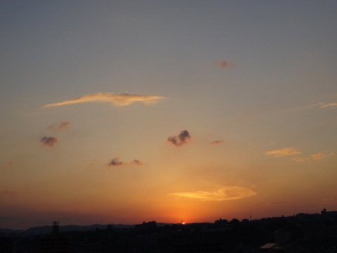 1dsc05835