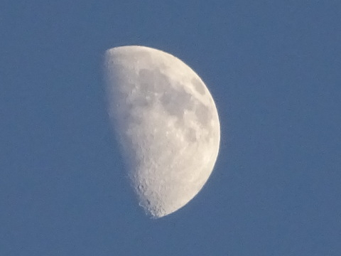 1dsc05838