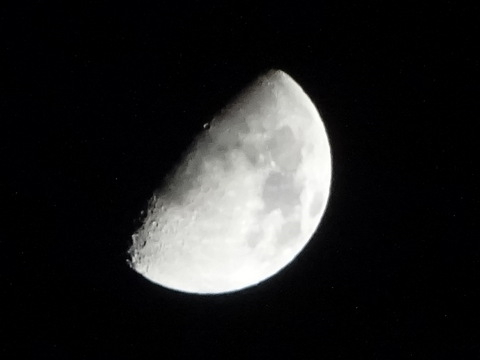 1dsc05844