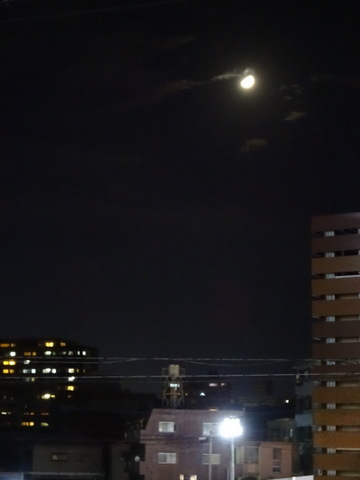 1dsc05847
