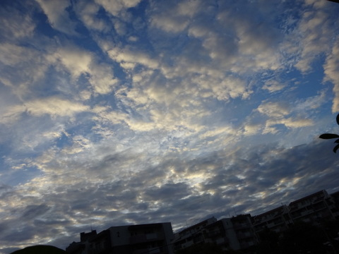 001dsc05852