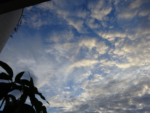 003dsc05854