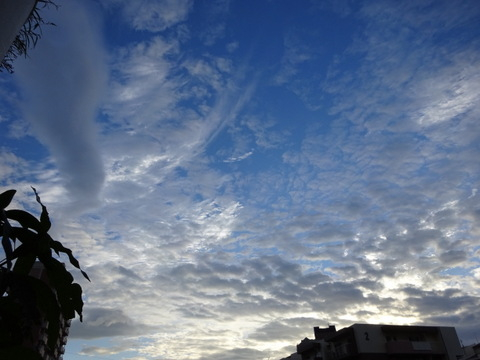 008dsc05859_2