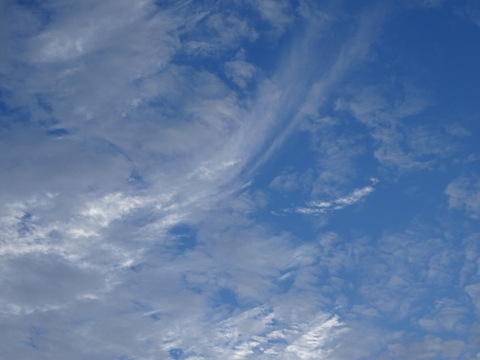 009dsc05860