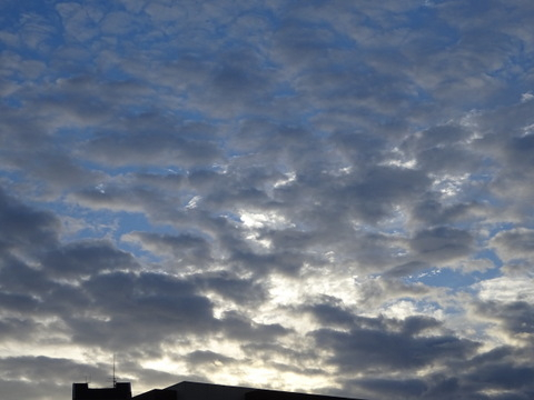 010dsc05861