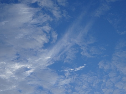 012dsc05863
