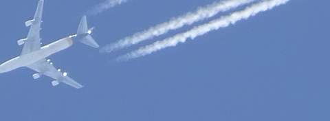 1dsc05981_2