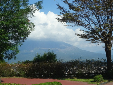 027dsc06002