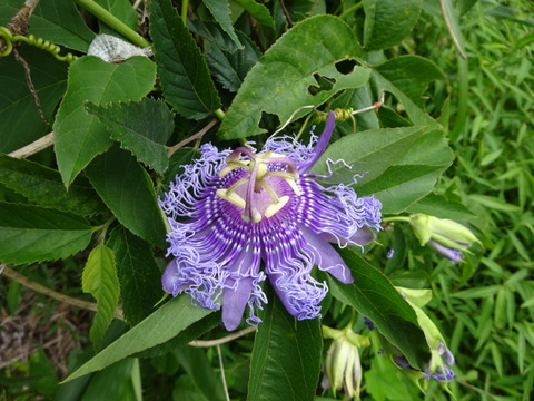 05dsc06048001