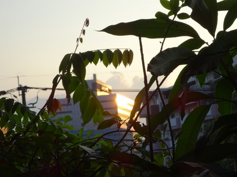 1dsc06031
