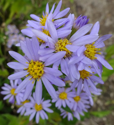 1dsc06054
