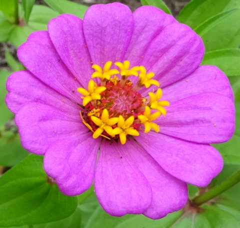 1dsc06056