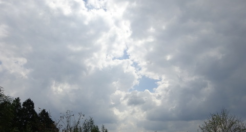 1dsc06066001