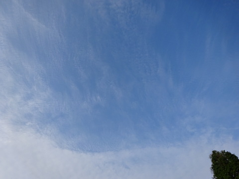 1dsc06086001