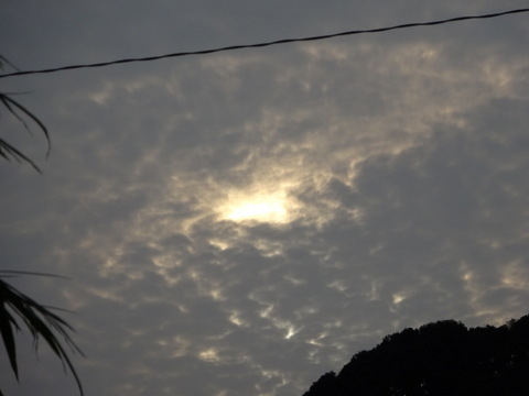 1dsc06090