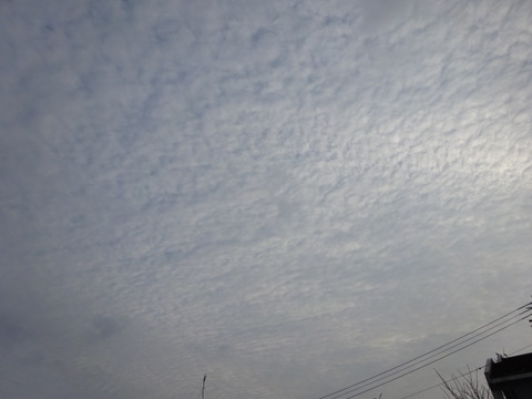 1dsc06091001