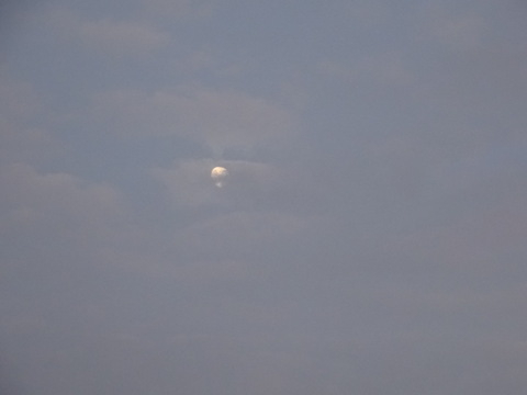1dsc06106