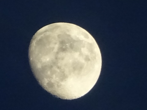 1dsc06109