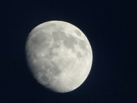1dsc06110