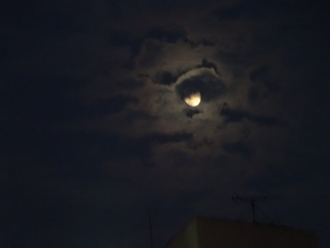 1dsc06113