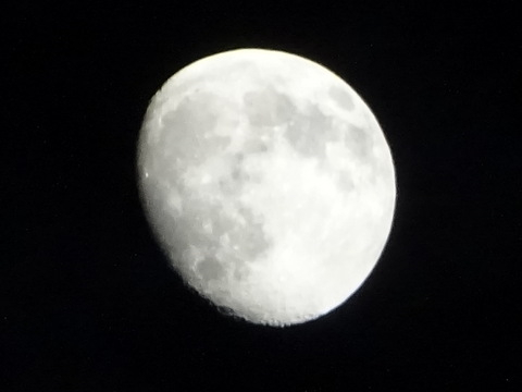 1dsc06119