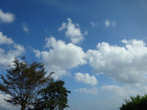 22dsc06001