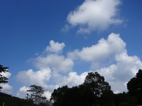 2dsc06040001