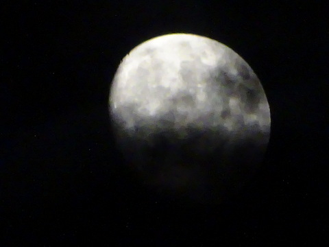 83dsc06126001