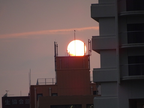1dsc06183