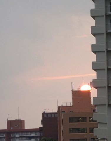 1dsc06187