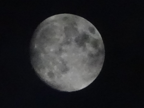1dsc06190