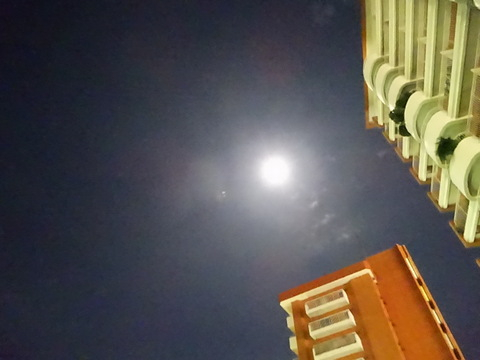 01dsc06197