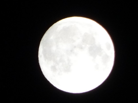 02dsc06198