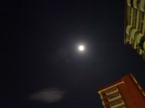 06dsc06204