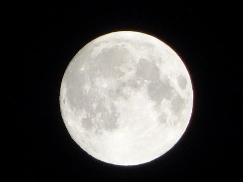 08dsc06206