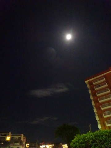 11dsc06210